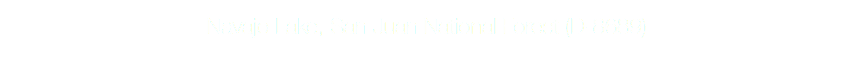 Navajo Lake, San Juan National Forest (D-8689)